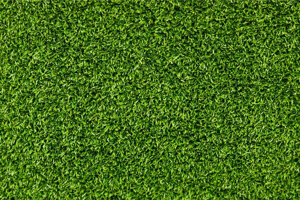 Carpet of bright green grass