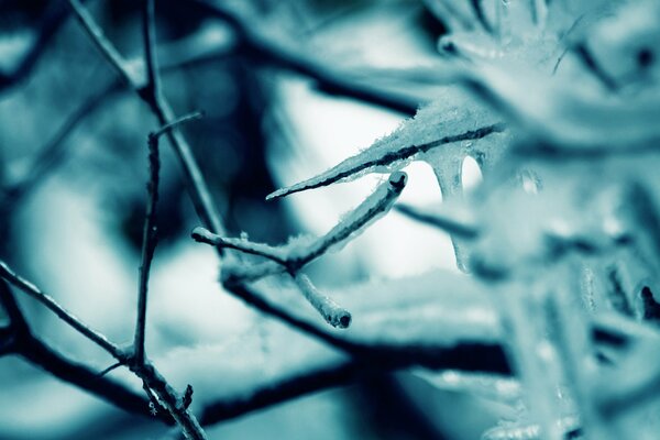 Fraîcheur glaciale et froid en hiver