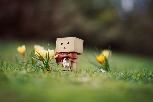 Homme en carton avec des fleurs dans la Prairie