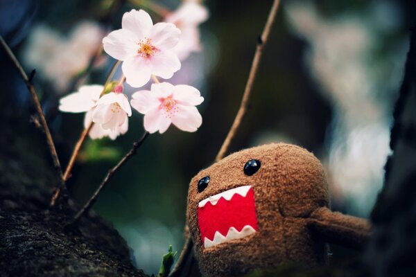 Juguete del personaje domo-Kun y flores blancas