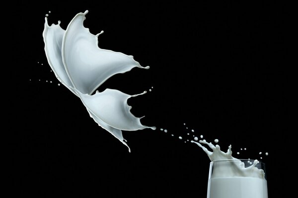 Splash of milk in the form of a butterfly on a black background