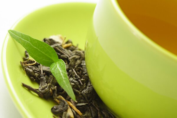 Hoja de té en un platillo verde