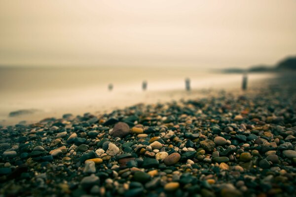 Colored pebbles on the seashore