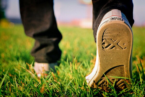 Autumn grass and sneakers