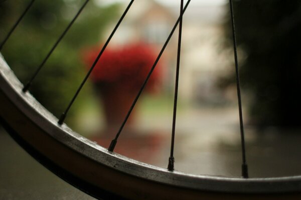 Bokeh effect, macro-style picture, wheel