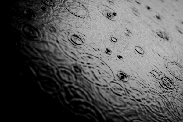 Fond d écran noir et blanc, macro gouttes sur l eau