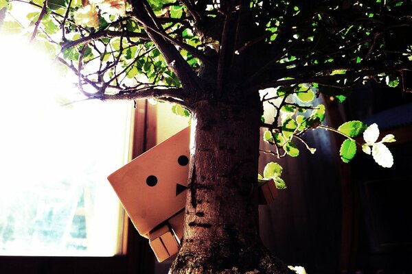 Lindo hombre en Caja junto al árbol