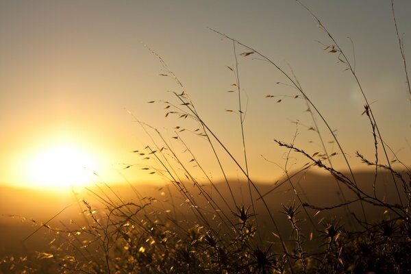 El sol brillante del amanecer. Mañana en el campo