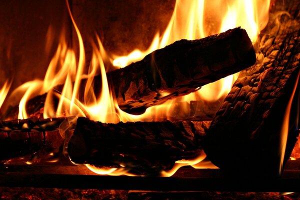 Firewood is burning in the oven