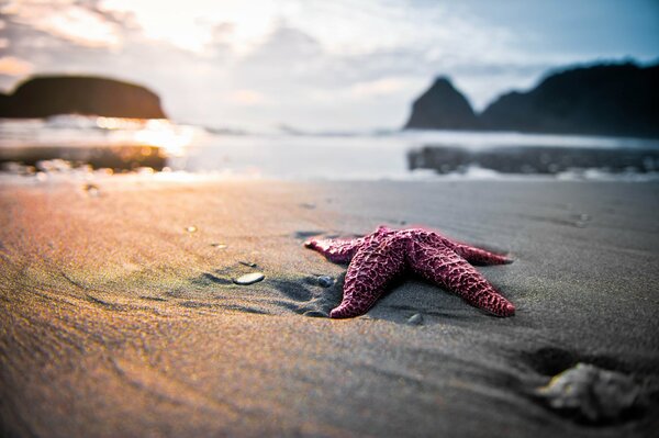 Paradise beach at sunset