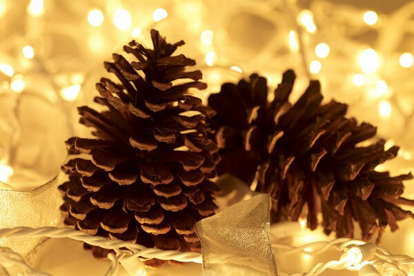 Cones with garlands are a wonderful Christmas decoration