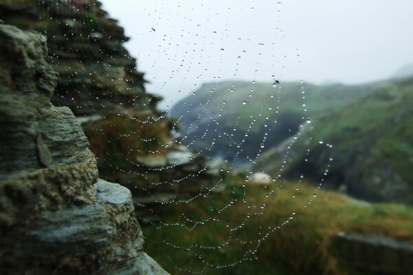 Telaraña de gotas de rocío sobre piedras