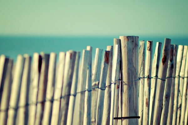 Fence made of bamboo sticks on the sea beach