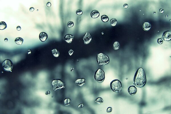 Macro photo. Water drops on the glass