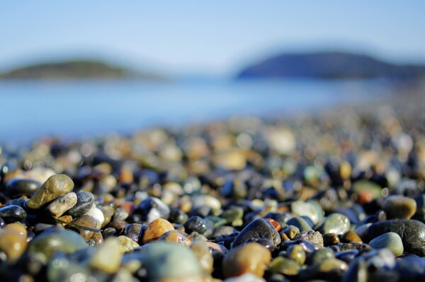 Makro zdjęcie kamieni na plaży