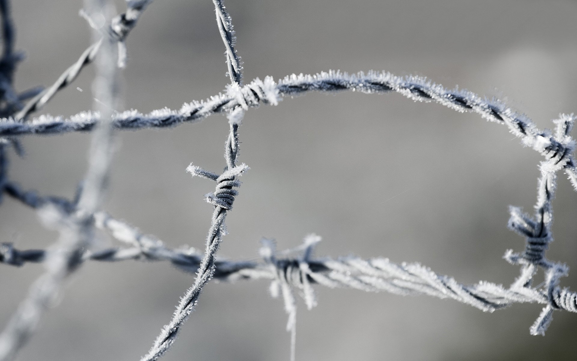 stacheldraht draht frost zone