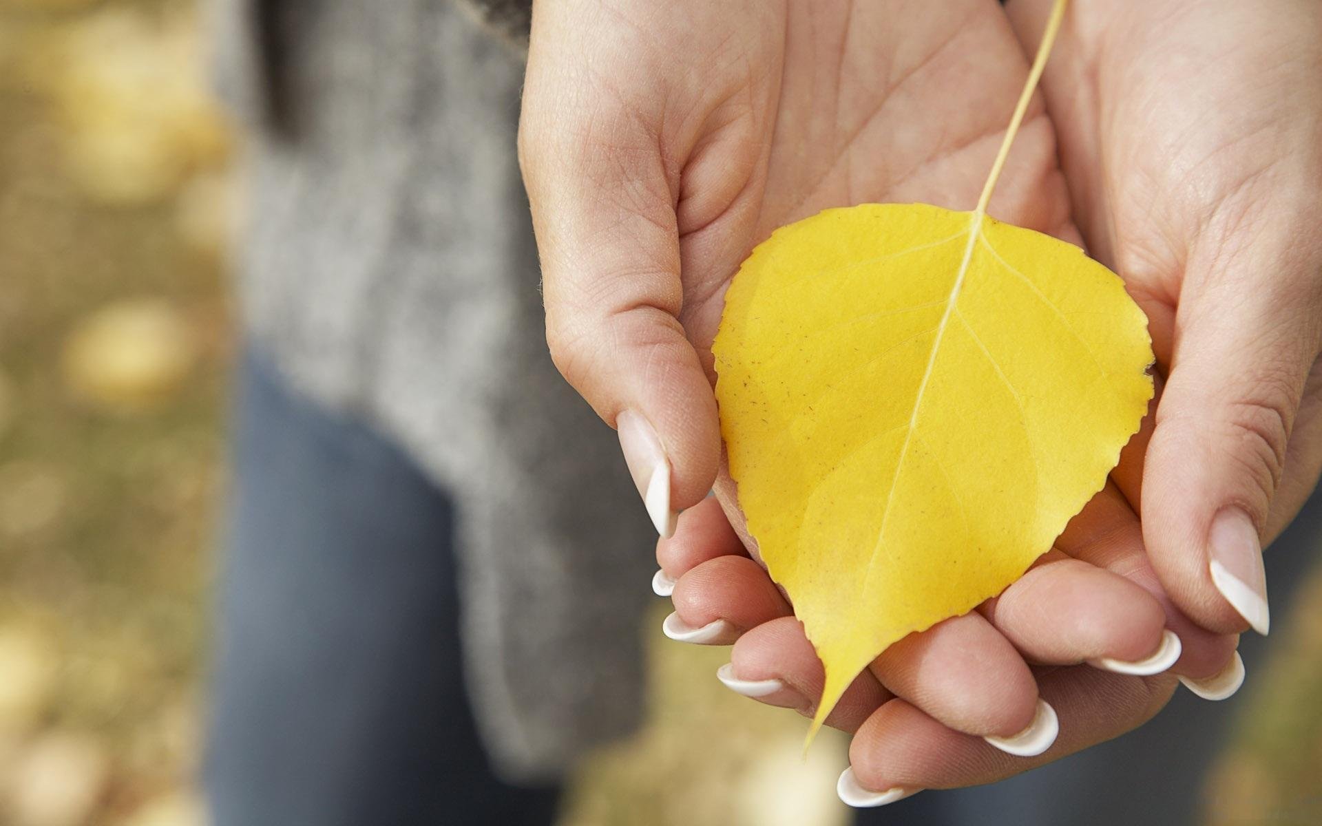 hands palm yellow fallen sheet autumn close up