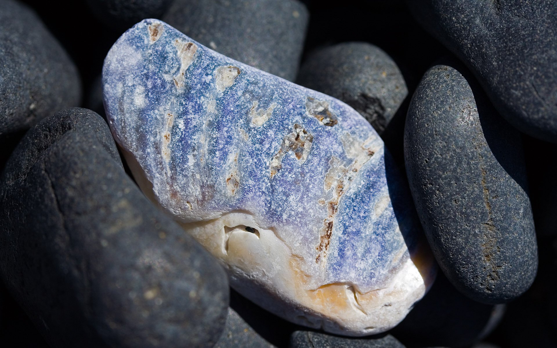 close-up stein strand natur