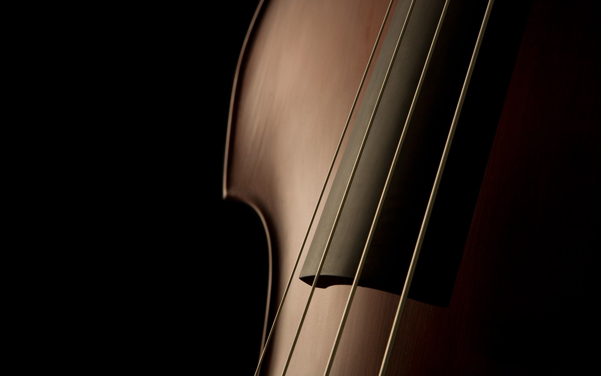 close musical instruments music macro photo