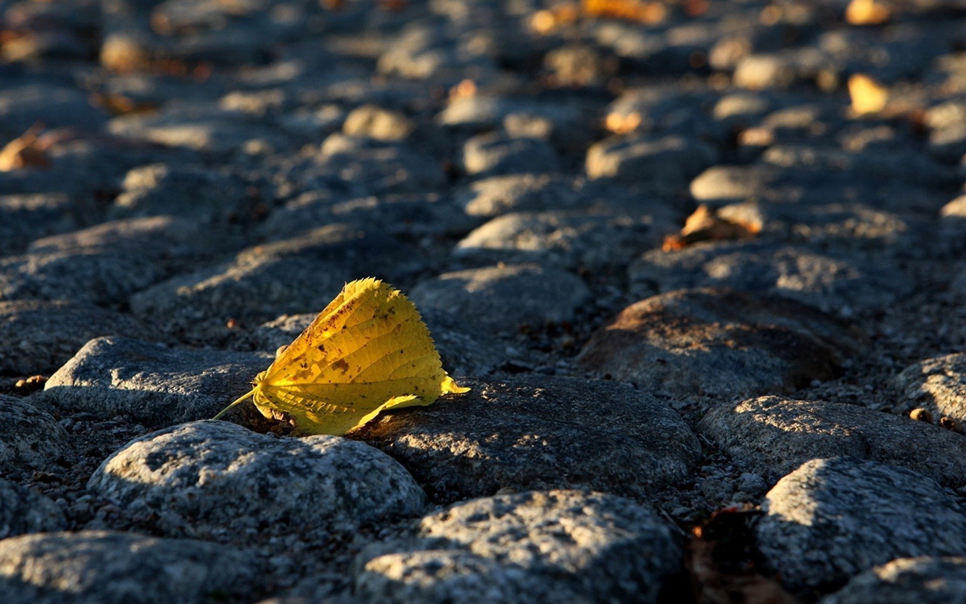 piece autumn cobble bridge