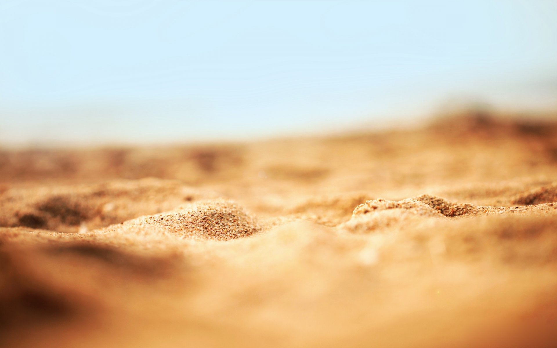 sable plage gros plan nature