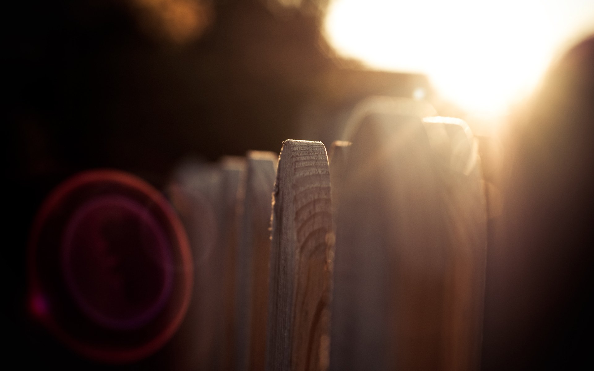 holz zaun sonne strahlen makro