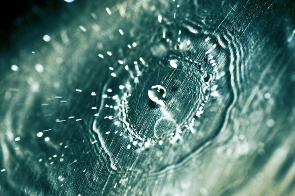 Macro photo of a drop and its splashes