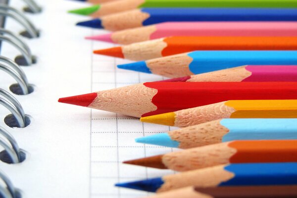 Wooden colored pencils on a notebook sheet in a cage