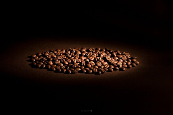 Chicchi di caffè sotto un raggio di luce