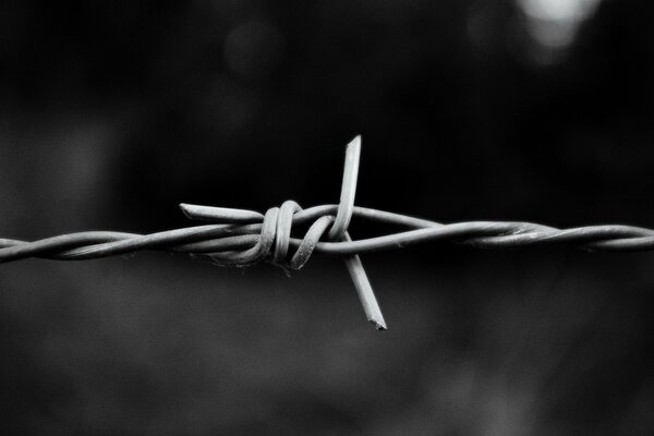 Alambre de púas de metal sobre fondo gris