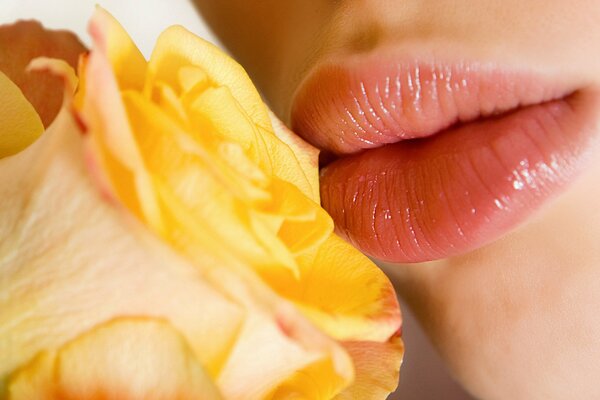 Yellow rose and plump lips