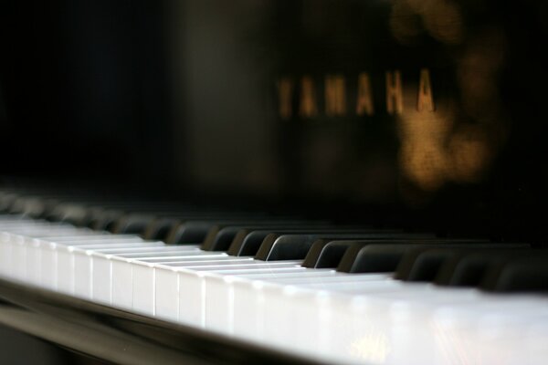 Foto macro di un pianoforte di lusso
