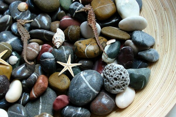 Морские камушки разных форм и цветов