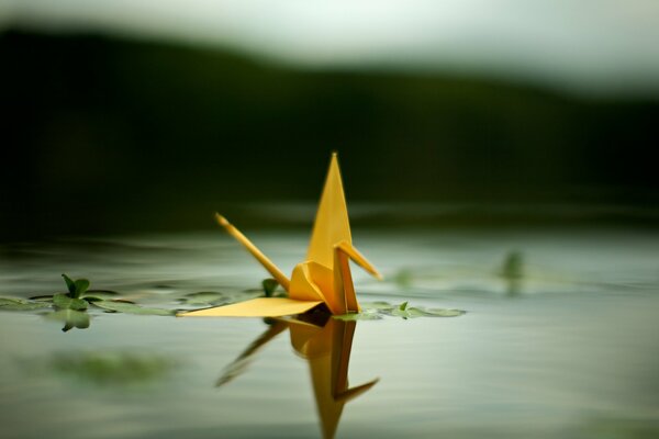 Żółty żuraw origami na powierzchni wody