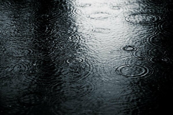 Gotas de lluvia fría en un charco