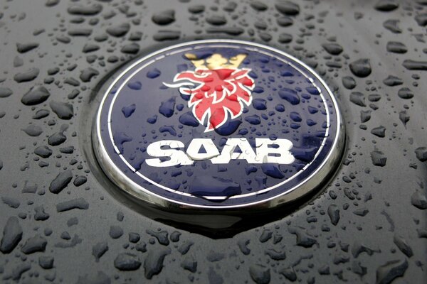 SAAB machine sign in rainy weather