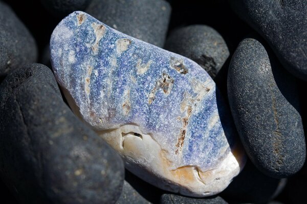 Macro fotografía de piedras en la orilla del mar