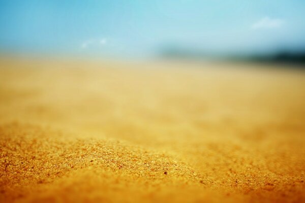 Жаркий день на песчаном пляже