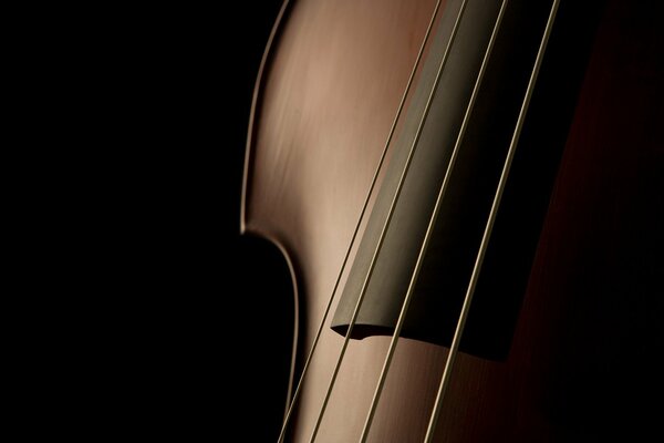 Macro photo of a musical instrument