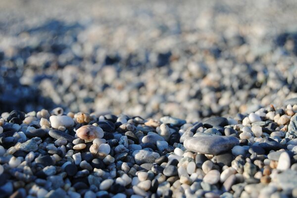 Molte pietre sulla spiaggia vicino al mare