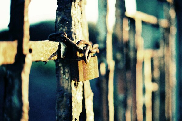 An old iron fence closed with a lock