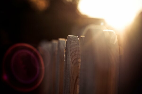 The sun s rays through the fence