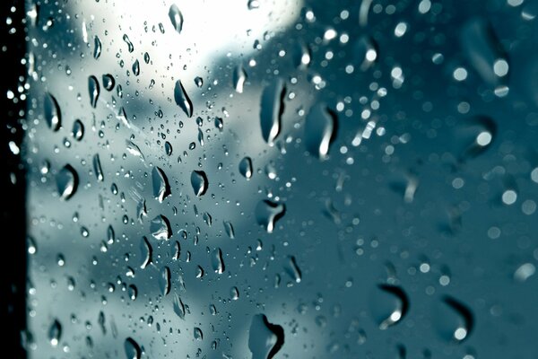 Raindrops on the glass macro