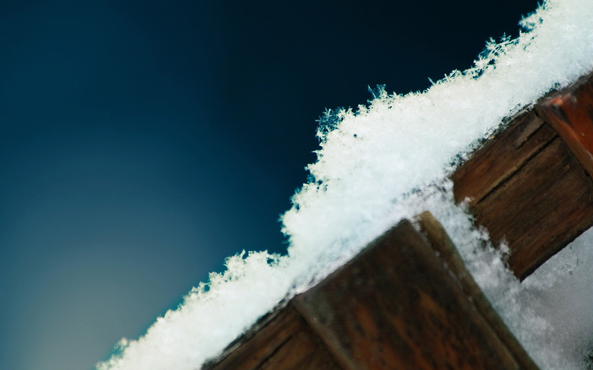 nieve árbol azul