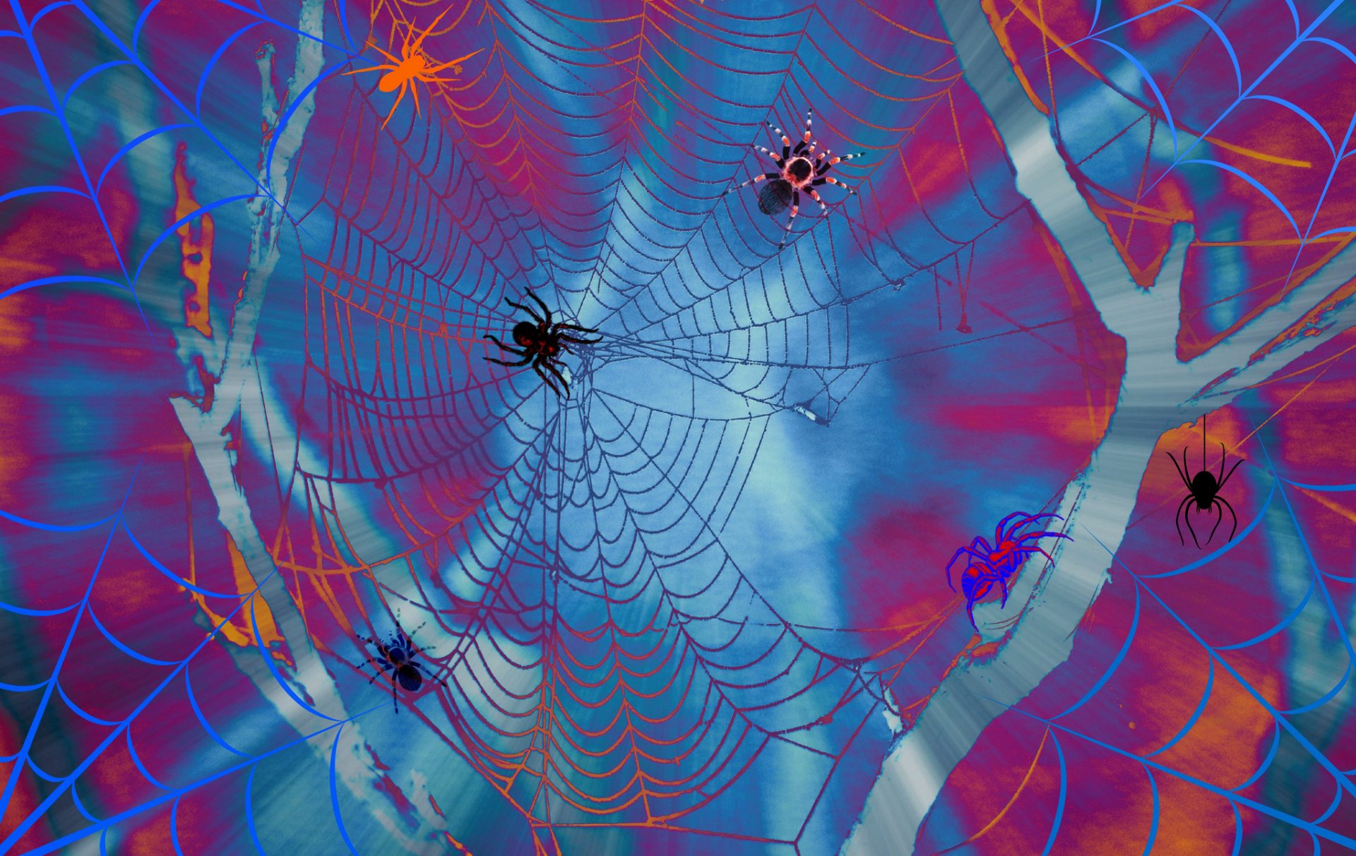 pider web line paint collage