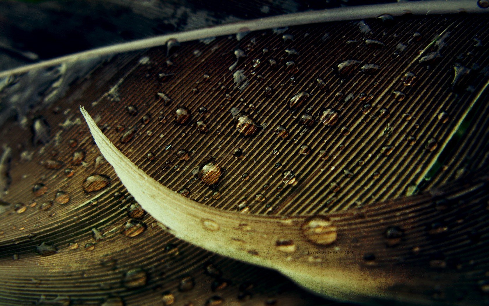 macro gotas