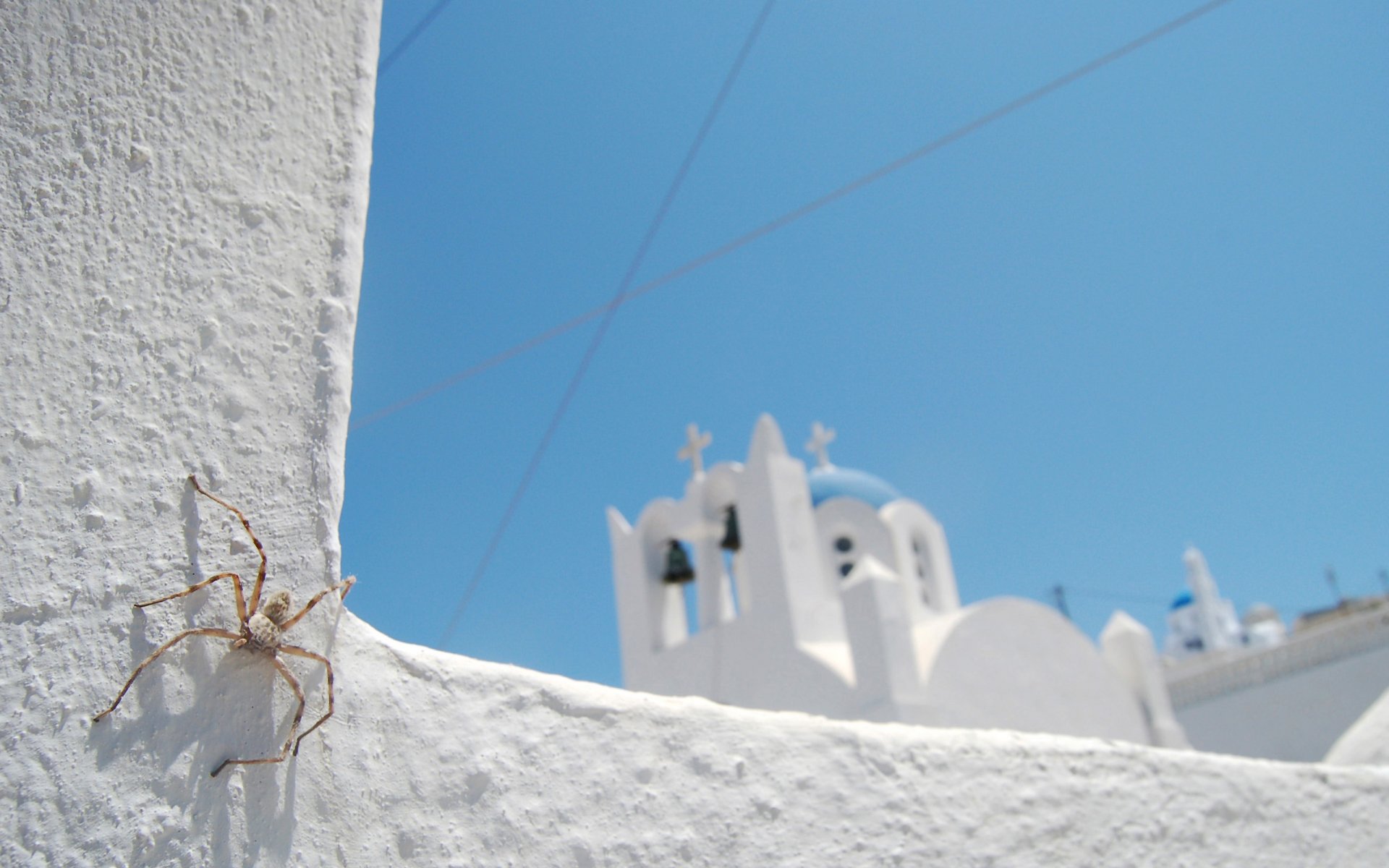 araignée église blanc bleu ciel