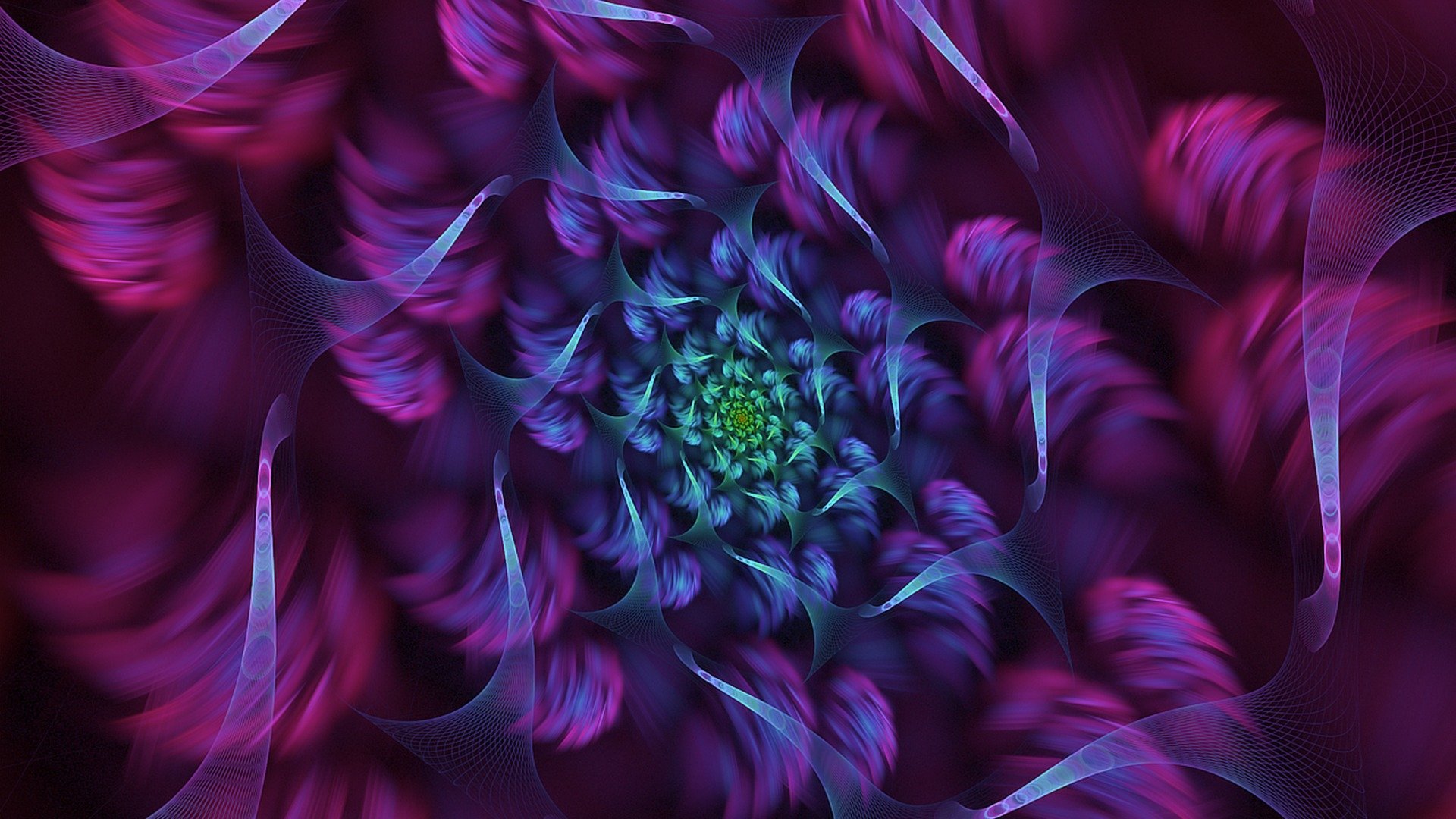 flowers form abstract