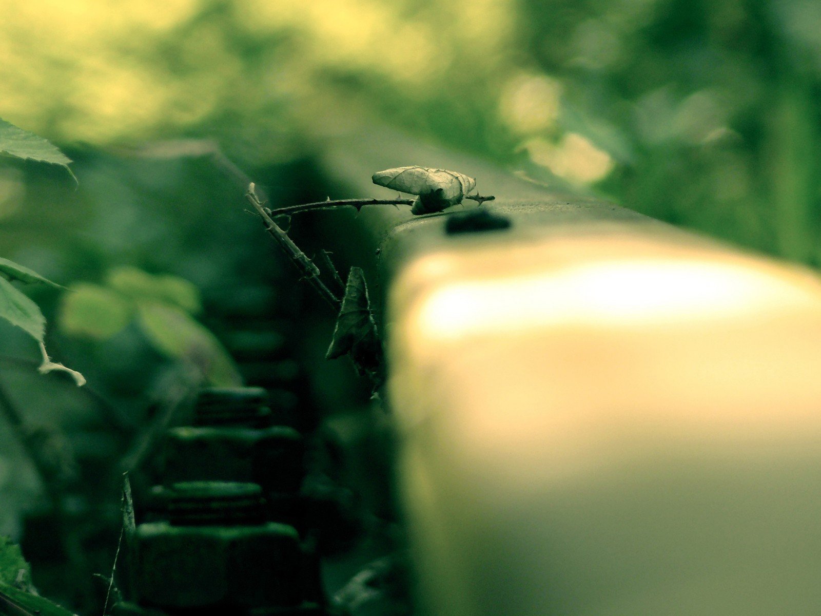 camino carriles fotografía macro