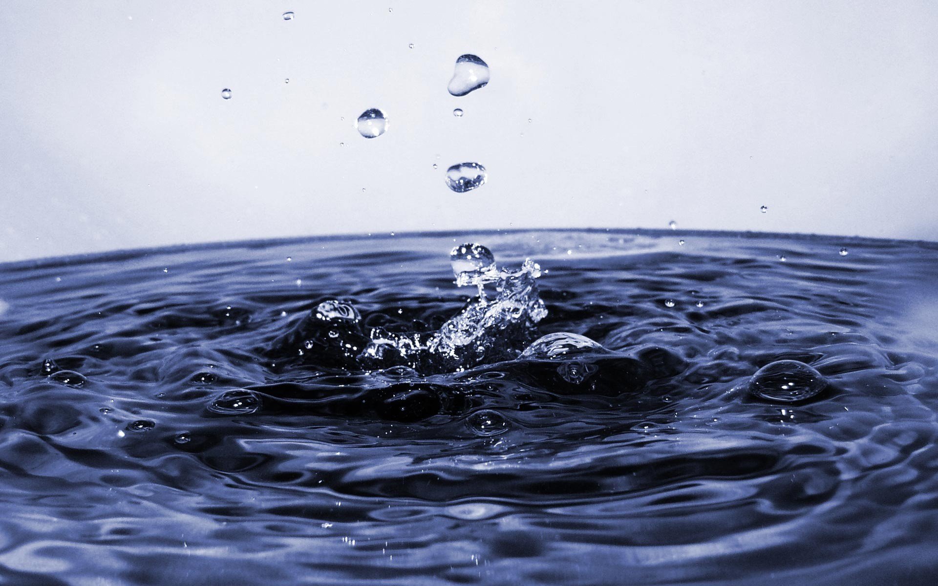 water drops close-up